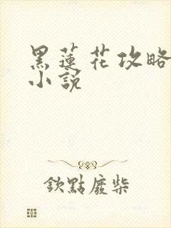 黑莲花攻略手册小说