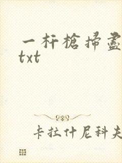 一杆枪扫尽全家txt