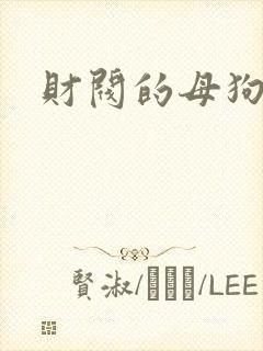 财阀的母狗们