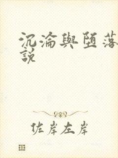 沉沦与堕落的小说