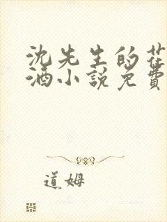 沈先生的花式调酒小说免费阅读