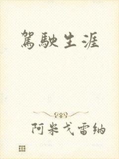 驾驶生涯