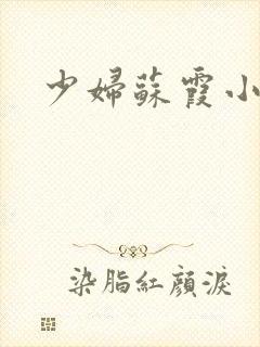 少妇苏霞小说封面