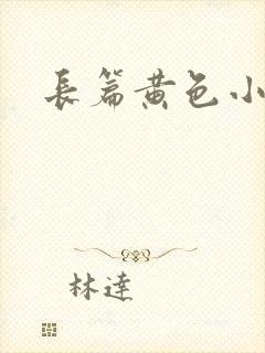 长篇黄色小说