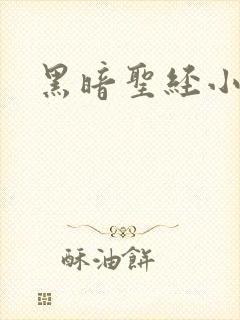 黑暗圣经小说封面