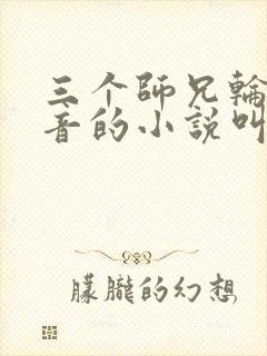 三个师兄轮流上音的小说叫什么