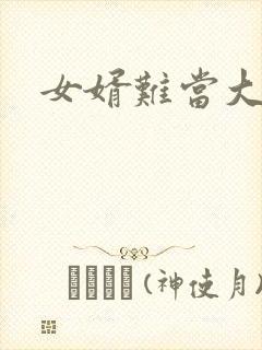 女婿难当大结局封面