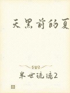 天黑前的夏天封面