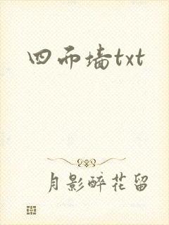 四面墙txt