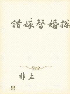 错嫁替婚总裁