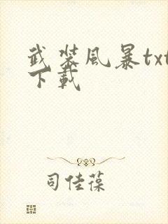 武装风暴txt下载封面