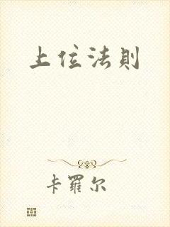 上位法则封面