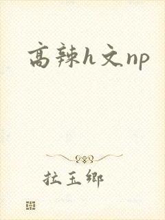高辣h文np封面