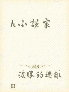 h小说家封面