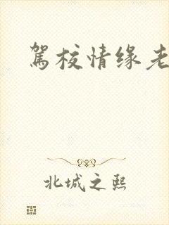 驾校情缘老赵