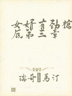 女婿有劲枪枪到底第三章