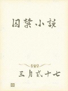囚禁小说