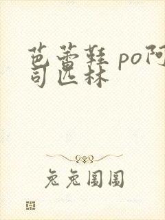 芭蕾鞋 po阿司匹林