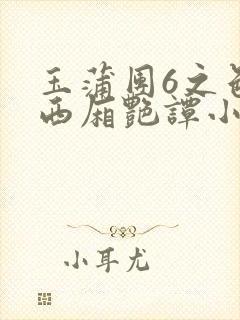 玉蒲团6之色情西厢艳谭小说封面
