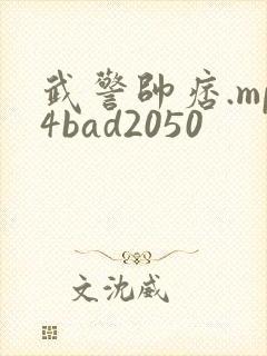 武警帅痞.mp4bad2050封面