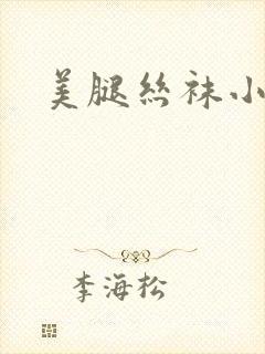 美腿丝袜小说