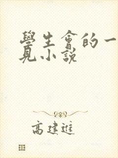 学生会的一己之见小说