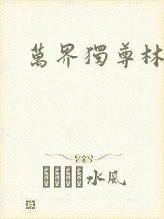 万界独尊林枫