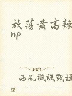 放荡黄高辣h文np