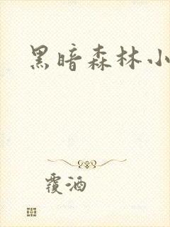 黑暗森林小说封面