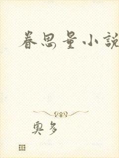 眷思量小说封面