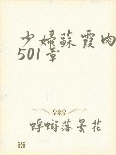 少妇苏霞肉欲第501章