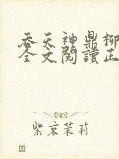 吞天神鼎柳无邪全文阅读正版