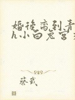 婚后脔到青梅哭h小白兔宫交h