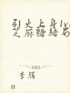 引火上身1v1芝麻糖结局封面