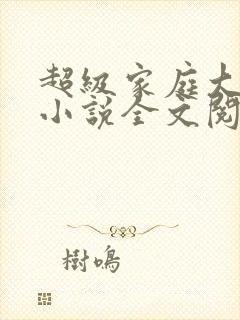 超级家庭大杂烩小说全文阅读
