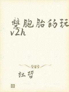 双胞胎的玩具1v2h