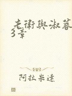 老卫与淑蓉第13章