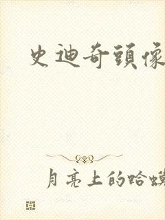 史迪奇头像