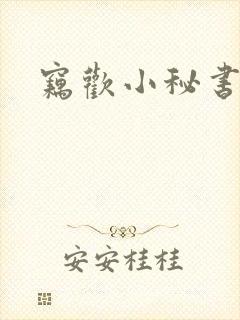 窃欢小秘书封面