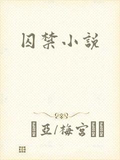 囚禁小说