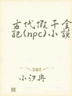 古代假千金挨日记(npc)小说