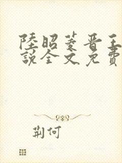陆昭菱晋王的小说全文免费阅读