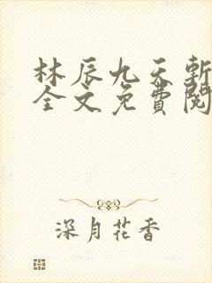 林辰九天斩神诀全文免费阅读笔趣阁