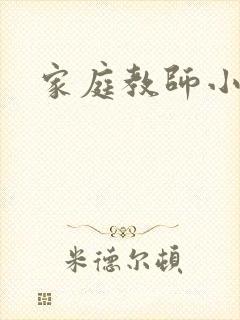 家庭教师小说