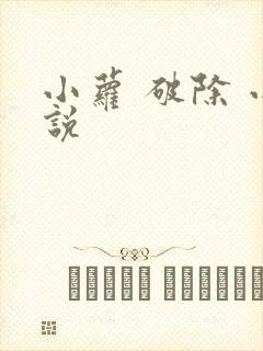 小萝 破除 小说