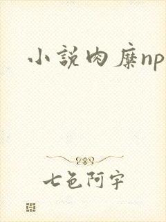 小说肉糜np