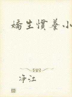 娇生惯养小说