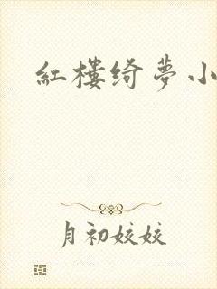 红楼绮梦小说