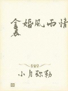 金婚风雨情演员表