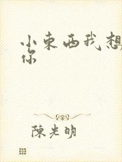 小东西我想弄坏你封面